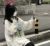 小可学