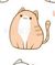小貓