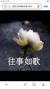 呂爸爸