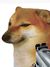 变异犬