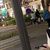 猴子