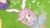 千韩