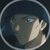 赤井秀一（昂）
