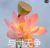 老师