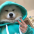 倩姐