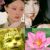 作者