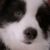 鼠標公主