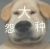 小旁白