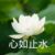 阿姨