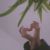 张极和满月