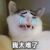 苹果猫