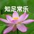 二班班主任魏老师