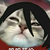 笠笠笠·阿克猫
