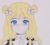 本书作者