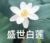 作者