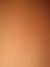 万能人
