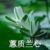 管家