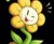 flowey