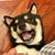 柴六斤