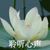 宋爸