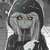 帕洛斯