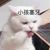作者:怀民