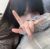 姚曉冉