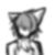 猫民2
