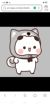 猫哥哥