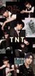 tnt