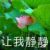 罗忆颖