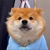 老六