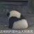 完美系统