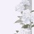 萬(wàn)能角色