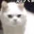 吳星星