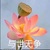 肖媽媽