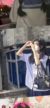 江奈