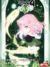 原恩辉辉（光辉）
