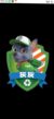 灰灰