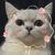 小七