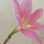 刘俊江