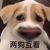 多多