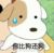 阿猫阿狗