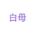 白母