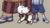 查理九世
