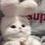 不眠飛行an