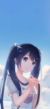 柴韵