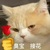 作者