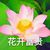 橙妈