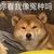 直播间弹幕